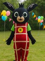 Bing mascotte verhuur, Hobby en Vrije tijd, Feestartikelen | Verhuur, Ophalen of Verzenden, Zo goed als nieuw, Overige
