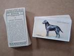 Dogs complete set 50 cigarette cards honden 1937 Wills, Ophalen of Verzenden