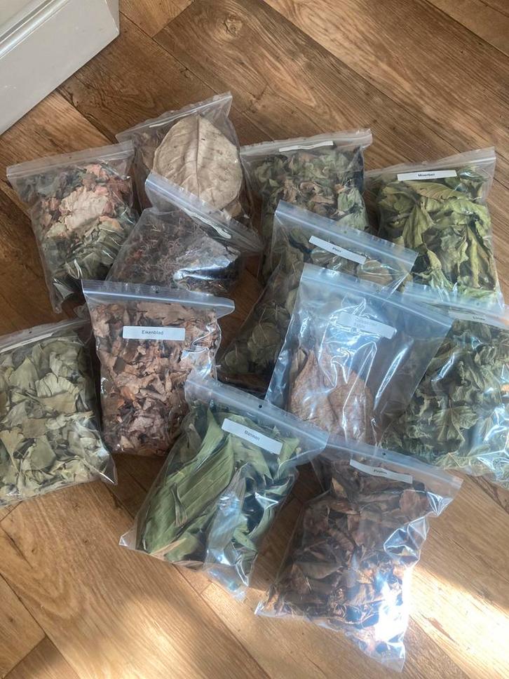 Voedsel bladeren, Dieren en Toebehoren, Vissen | Aquaria en Toebehoren, Zo goed als nieuw, Plant(en), Steen of Hout, Ophalen of Verzenden