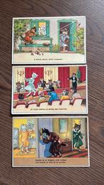 3 kaarten katten humor/fantasie., Verzamelen, Ophalen of Verzenden, Ongelopen, Overige thema's