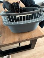 Honden fietsmand voor aan het stuur van de fiets, Dieren en Toebehoren, Ophalen, Zo goed als nieuw
