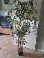 Kunstplant Bamboe, Huis en Inrichting, Kamerplanten, Ophalen, Halfschaduw, Minder dan 100 cm