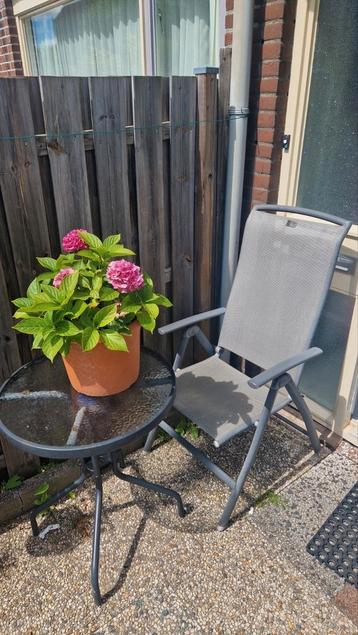 Mooie tuinstoel beschikbaar voor biedingen