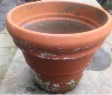 Grote oude terracotta pot 47cm beschikbaar voor biedingen