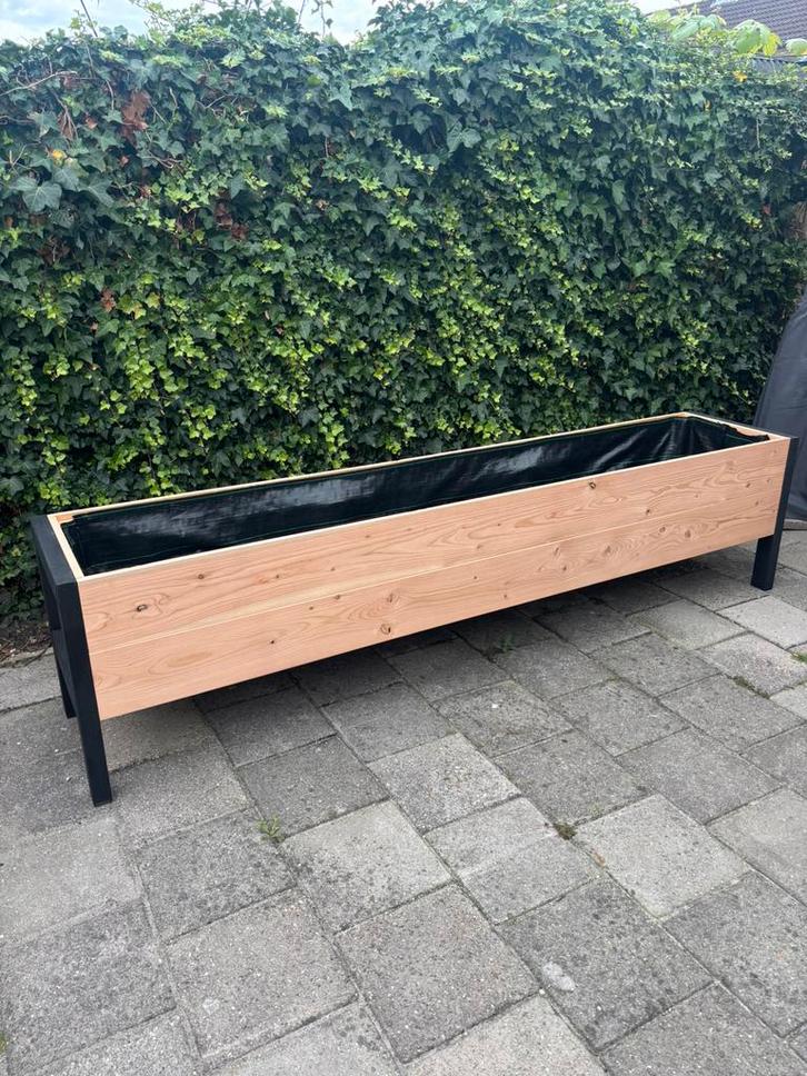 Grote / lange Douglas Plantenbak - tot 3 meter! 250x50x60, Tuin en Terras, Bloembakken en Plantenbakken, Nieuw, Hout, 60 cm of meer