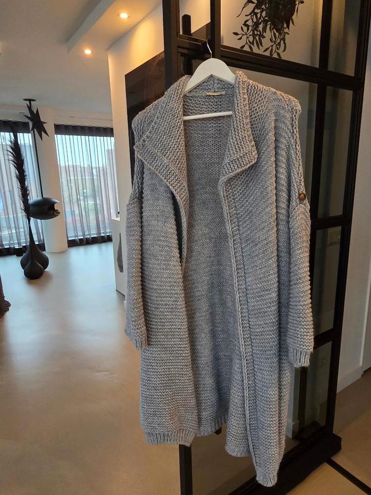 Sixty Days nieuw grijs gebreid vest one size, Kleding | Dames, Truien en Vesten, Nieuw, Maat 38/40 (M), Grijs, Verzenden