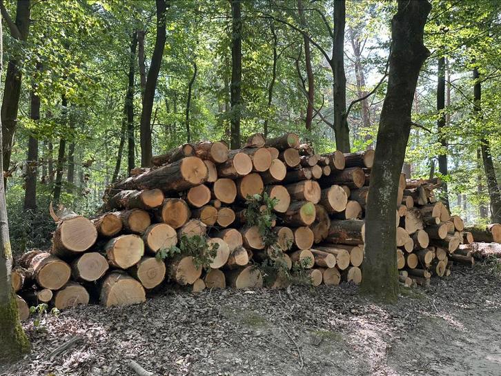 Eiken stammeb brandhout, Tuin en Terras, Haardhout, Ophalen of Verzenden
