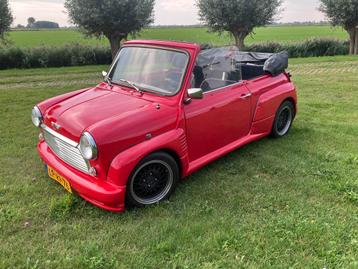 🟢 Classic Mini Cabrio 1989 🟢APK jun 2027🟢 beschikbaar voor biedingen