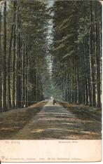 De Steeg Middachter Allee., Ophalen of Verzenden, Voor 1920, Ongelopen, Gelderland