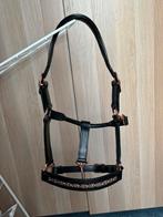Te koop: rose goud leren halster shetlander/a pony, Ophalen of Verzenden, Zo goed als nieuw, Overige soorten