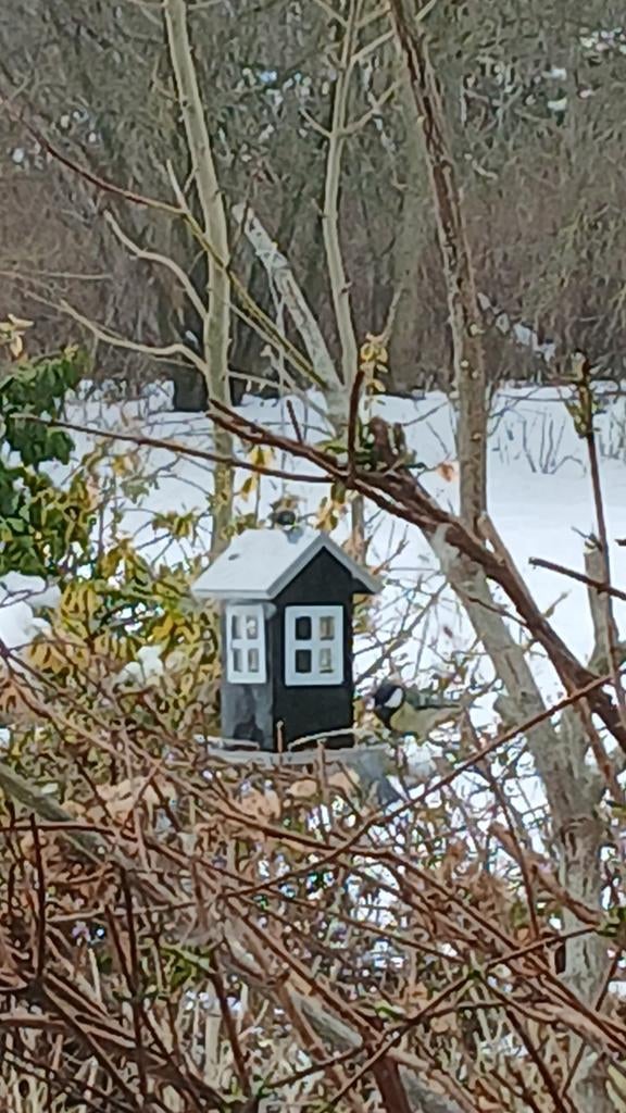 Nieuwe metalen goede kwaliteits voederhuisje, Tuin en Terras, Vogelhuisjes en Vogelbaden, Verzenden, Nieuw