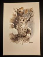 Kleine Schreeuwuil, Verzenden, 1980 tot heden, Zo goed als nieuw, Dier