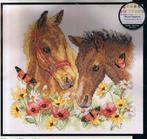 Voorbedrukt Pakket Horse Friends van Dimensions, Hobby en Vrije tijd, Borduren en Borduurmachines, Ophalen of Verzenden, Nieuw