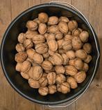 Biologische walnoten! 2025, Diversen, Ophalen of Verzenden