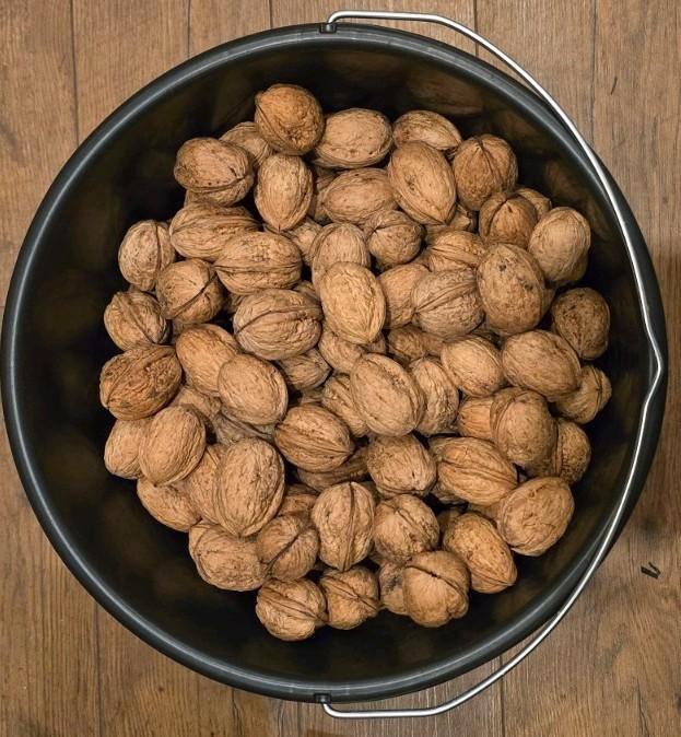 Biologische walnoten! 2025, Diversen, Levensmiddelen, Ophalen of Verzenden