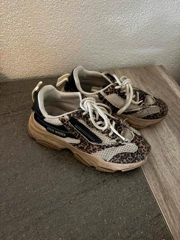 Steve Madden sneakers maat 34 beschikbaar voor biedingen