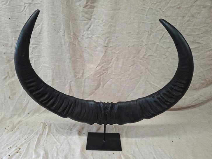 Waterbuffel Hoorns Decoratie - 63x56cm, Huis en Inrichting, Woonaccessoires | Wanddecoraties, Ophalen of Verzenden