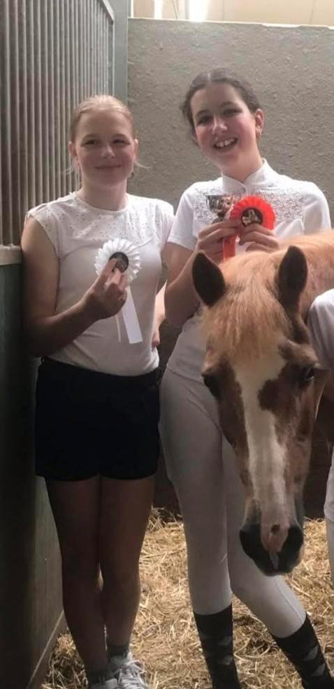 Verzorgsters aangeboden/verzorgpony gezocht, Dieren en Toebehoren, Stalling en Weidegang