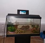 100 liter aquarium, Dieren en Toebehoren, Vissen | Aquaria en Toebehoren, Ophalen, Zo goed als nieuw, Leeg aquarium