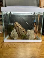 Aquarium met alle toebehoren, Ophalen of Verzenden, Gebruikt, Leeg aquarium