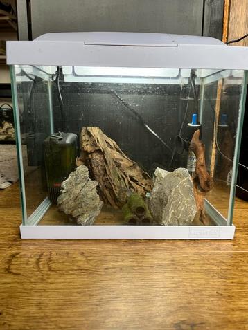 Aquarium met alle toebehoren beschikbaar voor biedingen
