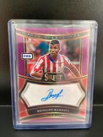 Reinildo Mandava Handtekening Kaart /10 panini select, Ophalen of Verzenden, Zo goed als nieuw