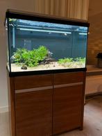 Akvastabil Mark II aquarium 80cm 160 liter + Oase pomp, Ophalen, Gebruikt, Gevuld zoetwateraquarium
