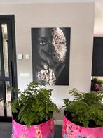 Hoe geweldig is dit schilderij , NIEUW 120x 80 cm groot, Ophalen