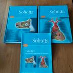 Sobotta atlas van de menselijke anatomie., Boeken, Ophalen of Verzenden
