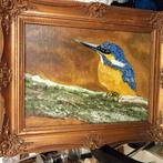 Schilderij IJsvogel in Gouden barok Lijst, Ophalen of Verzenden