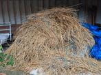 Gratis: Restant los riet (over van dak rietdekken), Ophalen, Zo goed als nieuw