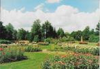 Rosarium winschoten gelopen ansichtkaart ( 589 ), Verzamelen, Ansichtkaarten | Nederland, Ophalen of Verzenden, 1980 tot heden
