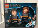 Lego 76393 Harry Potter & Hermione Granger * NIEUW, Nieuw, Ophalen of Verzenden, Lego