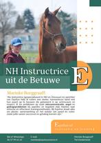 Privéles voor bewuste ruiters: begrijp wat je paard bedoelt, Diensten en Vakmensen, Dieren | Paarden | Verzorging, Oppas en Les