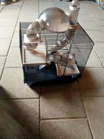 Te koop hamster kooi, Minder dan 60 cm, Kooi, Minder dan 75 cm, Ophalen of Verzenden