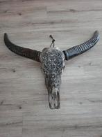 Buffelschedel Wanddecoratie, Ophalen, Zo goed als nieuw