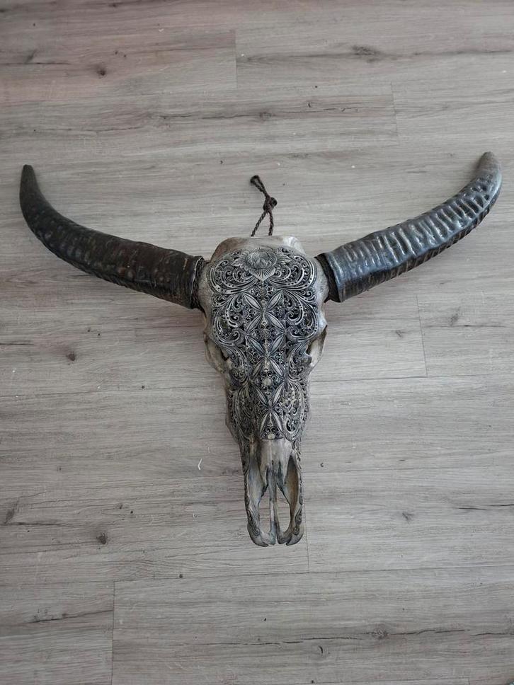 Buffelschedel Wanddecoratie, Huis en Inrichting, Woonaccessoires | Wanddecoraties, Zo goed als nieuw, Ophalen