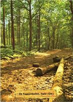 Halle  De Kappenbuiten, Verzamelen, Ansichtkaarten | Nederland, Ophalen of Verzenden, Gelopen, Gelderland