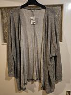 Grijs gemêleerd dun vestje, Kleding | Dames, Grote Maten, Zeeman, Trui of Vest, Nieuw, Ophalen of Verzenden