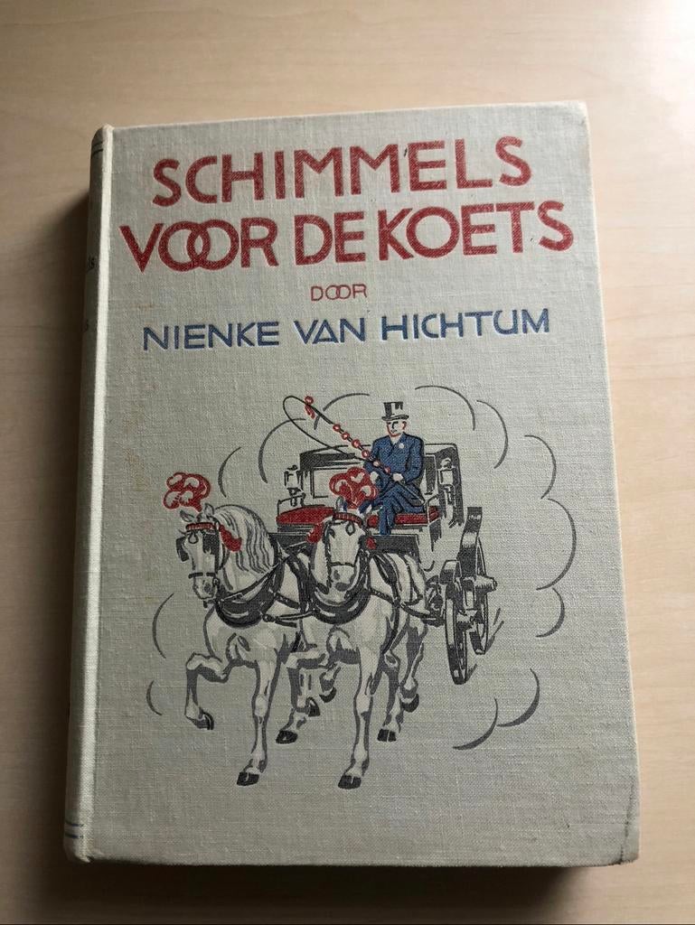 Schimmels voor de koets door Nienke van Hichtum, Ophalen of Verzenden