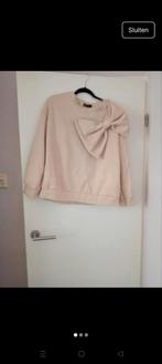 Dikke trui Must Have - Nieuw!, Kleding | Dames, Beige, Ophalen of Verzenden, Zo goed als nieuw, Maat 38/40 (M)
