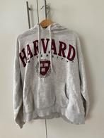 H&M Harvard trui maat s, Kleding | Dames, H&M, Ophalen of Verzenden, Zo goed als nieuw, Maat 36 (S)