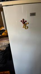Koelkast hoog model, Witgoed en Apparatuur, Koelkasten en IJskasten, Ophalen, Zonder vriesvak