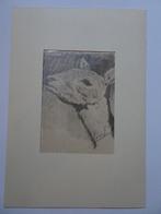 potloodtekening hert ree, wild, dier natuur monogram EvdE, Antiek en Kunst, Kunst | Tekeningen en Foto's, Verzenden