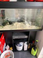 Aquaria, Dieren en Toebehoren, Vissen | Aquaria en Toebehoren, Ophalen, Leeg aquarium