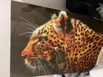 Glasschilderij panter, Huis en Inrichting, Ophalen, Zo goed als nieuw, Schilderij, 100 tot 125 cm