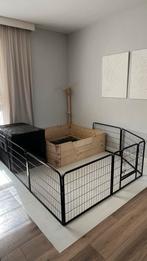 Houten werpkist voor honden te huur met complete set, Ophalen