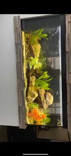 Juwel Aquarium Rio 180 LED, Ophalen, Zo goed als nieuw, Leeg aquarium