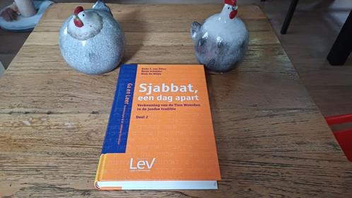 Sjabbat, een dag apart., Boeken, Godsdienst en Theologie, Gelezen, Jodendom, Ophalen of Verzenden