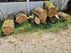Boomstammen, Tuin en Terras, Haardhout, Minder dan 3 m³, Ophalen, Overige houtsoorten, Stammen